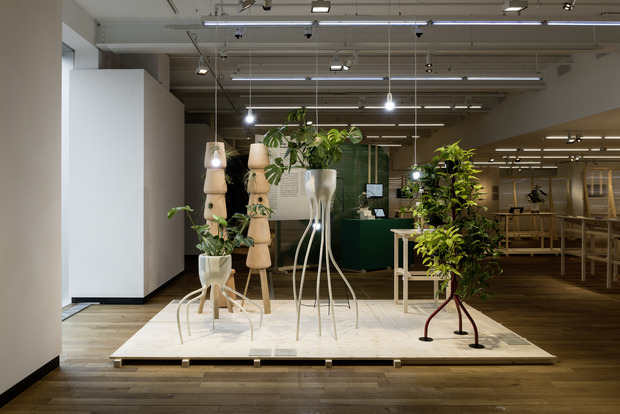 Picture: Plant Fever – Design aus der Pflanzenperspektive