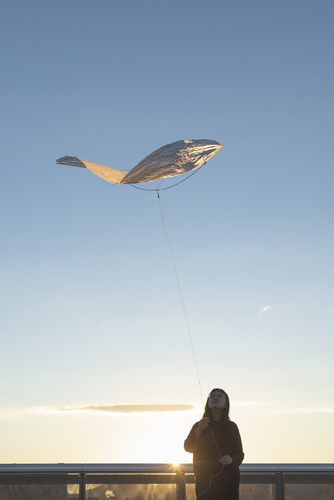 Bild:  Kites