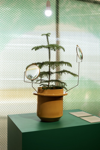 Bild:  Plant Fever – Design aus der Pflanzenperspektive