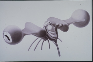 Picture: Verhaltensschemen von Octopus vulgaris (Schema)