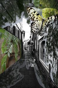 Bild:  Digitale Collage, Arbeit einer Schülerin