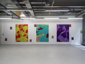 Picture: installation view