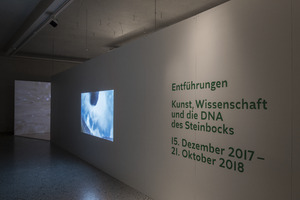 Picture: Entführungen - Kunst, Wissenschaft und die DNA des Steinbocks