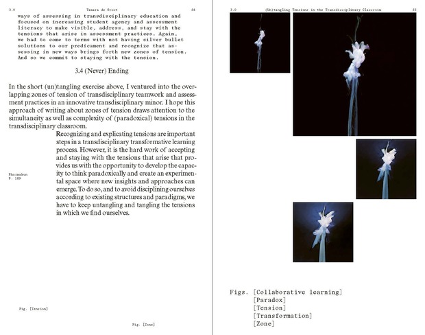 Picture: Exploring Transdisciplinary Education combining Arts and Sciences