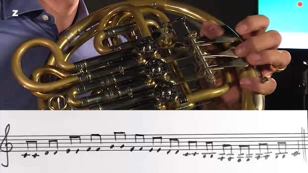 Picture: FrenchHorn Exercise for everyday