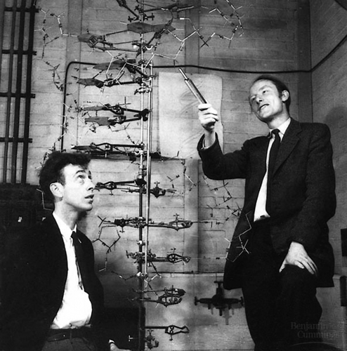 Bild:  Watson, Crick und das DNA-Modell von 1953