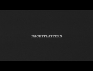 Picture: Nachtflattern