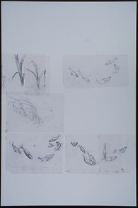 Bild:  Balz- und Brutverhalten des Stichlings (Gasterosteus aculeatus) (Skizze)