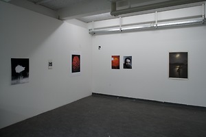 Picture: Ausstellung der Bachelorarbeiten der Vertiefung Fotografie 2008