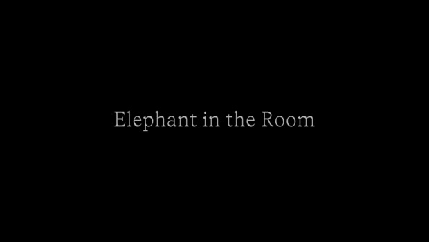 Bild:  Elephant in the Room (Filmstill)