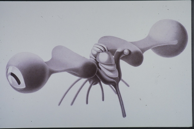 Bild:  Verhaltensschemen von Octopus vulgaris (Schema)