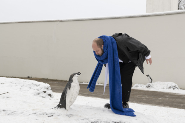 Picture: An actor who wanted to prove himself by becoming a penguin, but then reality kicked in