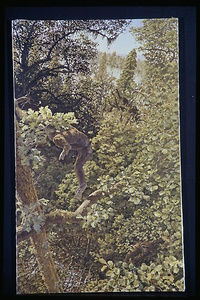 Bild:  Oreopithecus bambolii