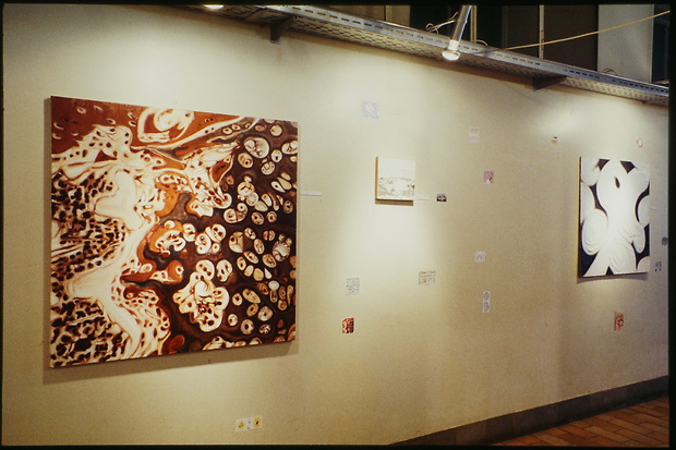 Bild:  Diplom 1994: Ausstellungsgestaltung