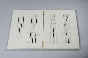 Picture: Tanz-Schrift Objekte, Sigurd Leeder