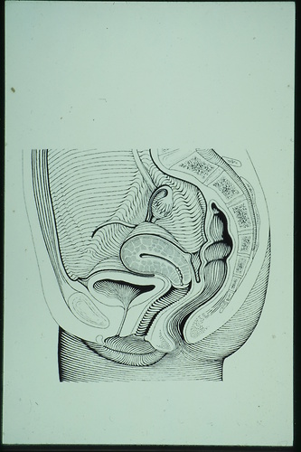 Picture: Medizinische Illustration