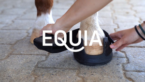 Picture: EQUIA