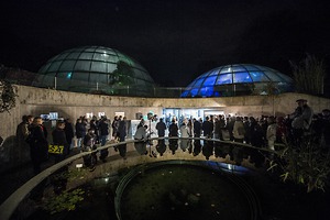 Bild:  Klimakonferenz: Künstlerinnen bespielen Botanischen Garten Zürich 