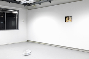 Picture: Tiny Miracles_Installation view