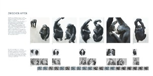 Bild:  Zwischen Affen [Ausstellungstafel]