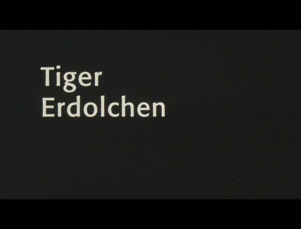 Bild:  Tiger erdolchen (Filmstill)