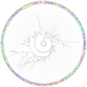 Bild:  Circular representation of the phylogenetic tree