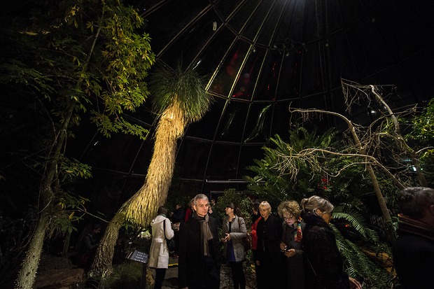 Picture: Klimakonferenz: Künstlerinnen bespielen Botanischen Garten Zürich 