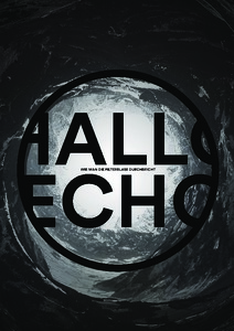 Picture: Hallo Echo // Bachelor Thesis Sidney Sutter