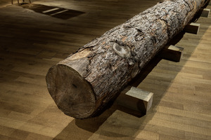 Bild:  Formafantasma: Cambio – Baum, Holz, Mensch