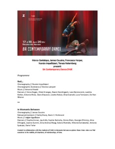 Bild:  2016 Programm BA Contemporary Dance