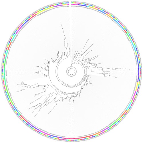 Bild:  Circular representation of the phylogenetic tree