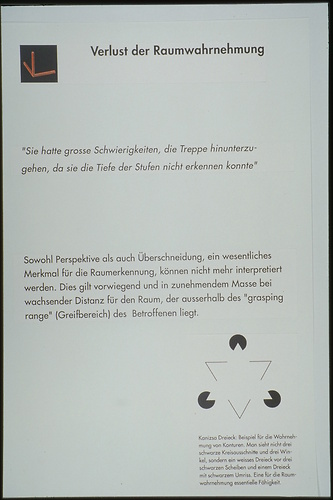 Picture: "to see but not to see" (Abschlussarbeit 1992)