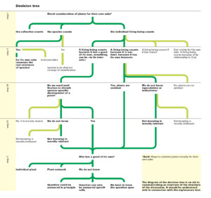 Bild:  Decision Tree in the report The Dignity of Living Beings with Regard to Plants