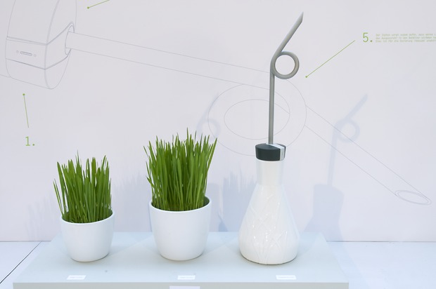 Picture: vergo – das clevere Giessgerät für Zimmerpflanzen