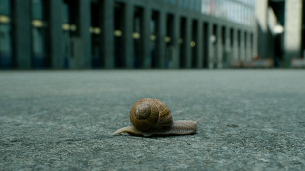 Picture: Phlegm (Filmstill)