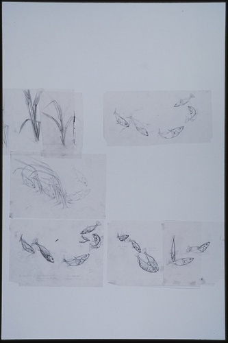 Picture: Balz- und Brutverhalten des Stichlings (Gasterosteus aculeatus) (Skizze)