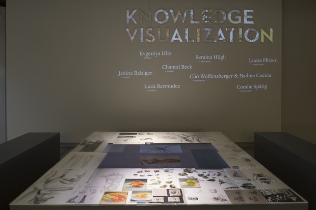 Bild:  1 Diplomausstellung Design: Knowledge Visualization