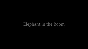 Bild:  Elephant in the Room