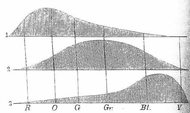 Picture: Sensitivity of the Colour Receptors