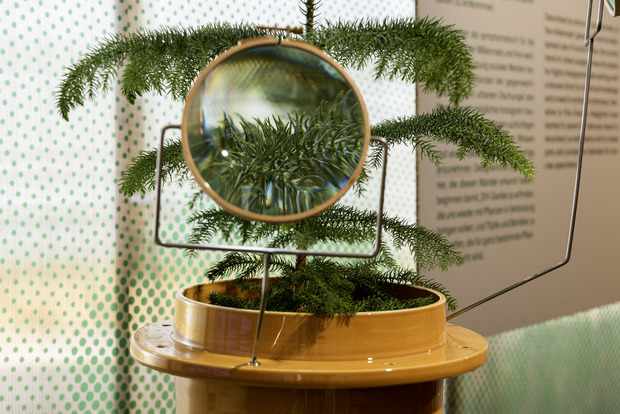 Picture: Plant Fever – Design aus der Pflanzenperspektive