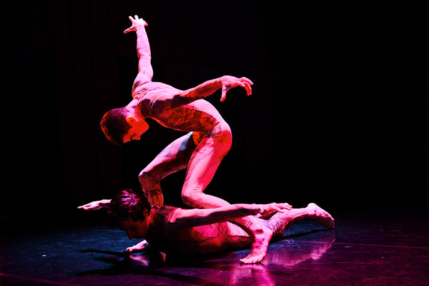 Bild:  Bachelor Contemporary Dance presents