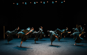Picture: Isabelle Chaffaud and Jérôme Meyer, Félix Duméril, Sonia Rocha, Stephen Shropshire and Lorand Zachar present: BA Contemporary Dance ZHdK (2015/16)