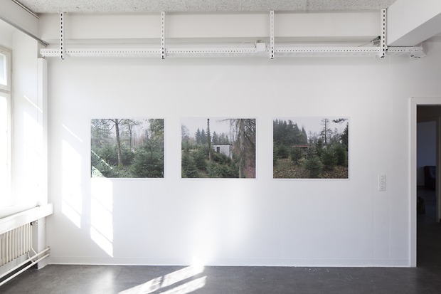 Picture: Ausstellungsansicht Landschaft Gallerie 201 Vertiefung Fotografie Januar 2014