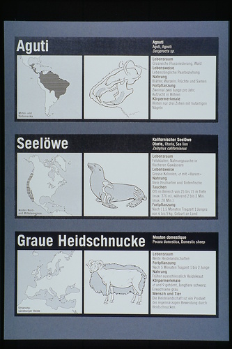 Picture: Zoologische Schautafel