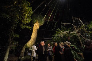 Bild:  Klimakonferenz: Künstlerinnen bespielen Botanischen Garten Zürich 