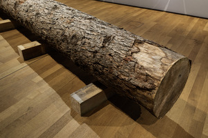 Bild:  Formafantasma: Cambio – Baum, Holz, Mensch