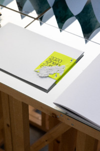 Picture: Ausstellungsansicht, Zine in Zürich, MATERIAL, Zürich, 2020