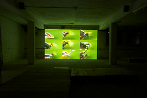 Bild:  unberechenbar nah - Ausstellung Vertiefung Mediale Künste im Kunstraum Kreuzlingen