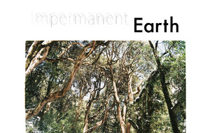 Bild:  Impermanent Earth | Photo Credit: Portfolio, Rachel TonThat