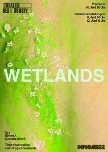 Bild:  Wetlands - Flyer